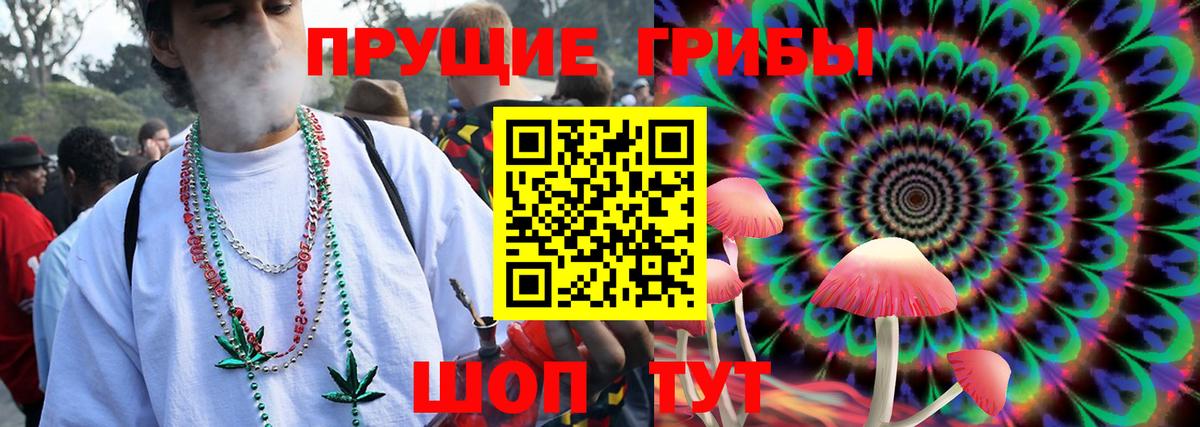 Галлюциногенные грибы Psilocybine cubensis  Псилоцибиновые грибы Cubensis  Вход с VPN  Горячий Ключ 
